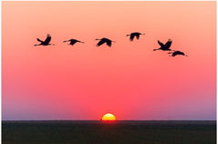 image2020-8-14_16-18-25.png